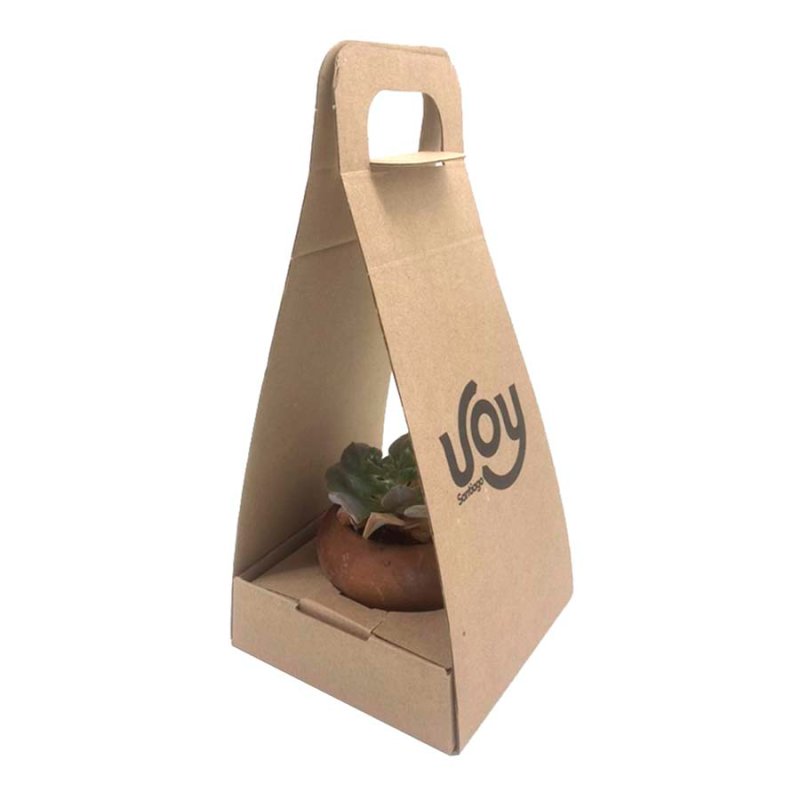 Suculenta Con Packaging - Merchandising corporativo personalizable