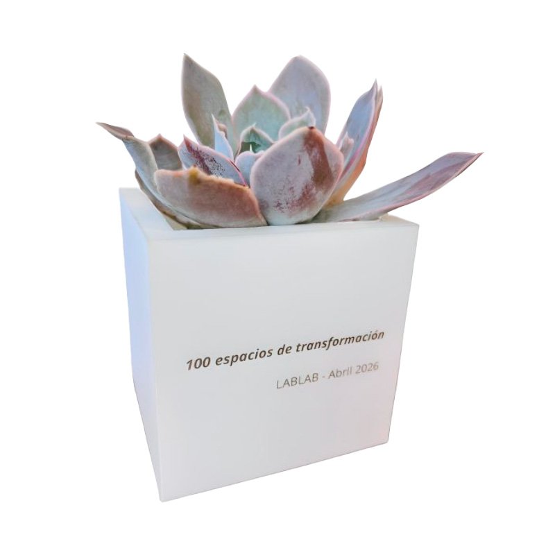 Cubo Blanco De Suculentas - Merchandising corporativo personalizable