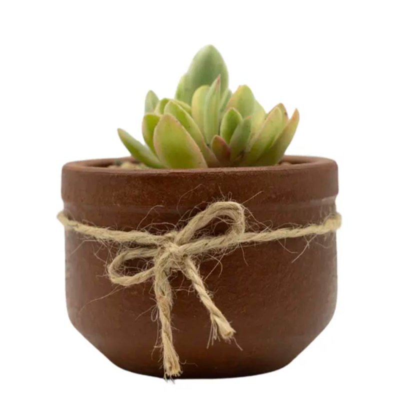 Suculenta Macetero Greda